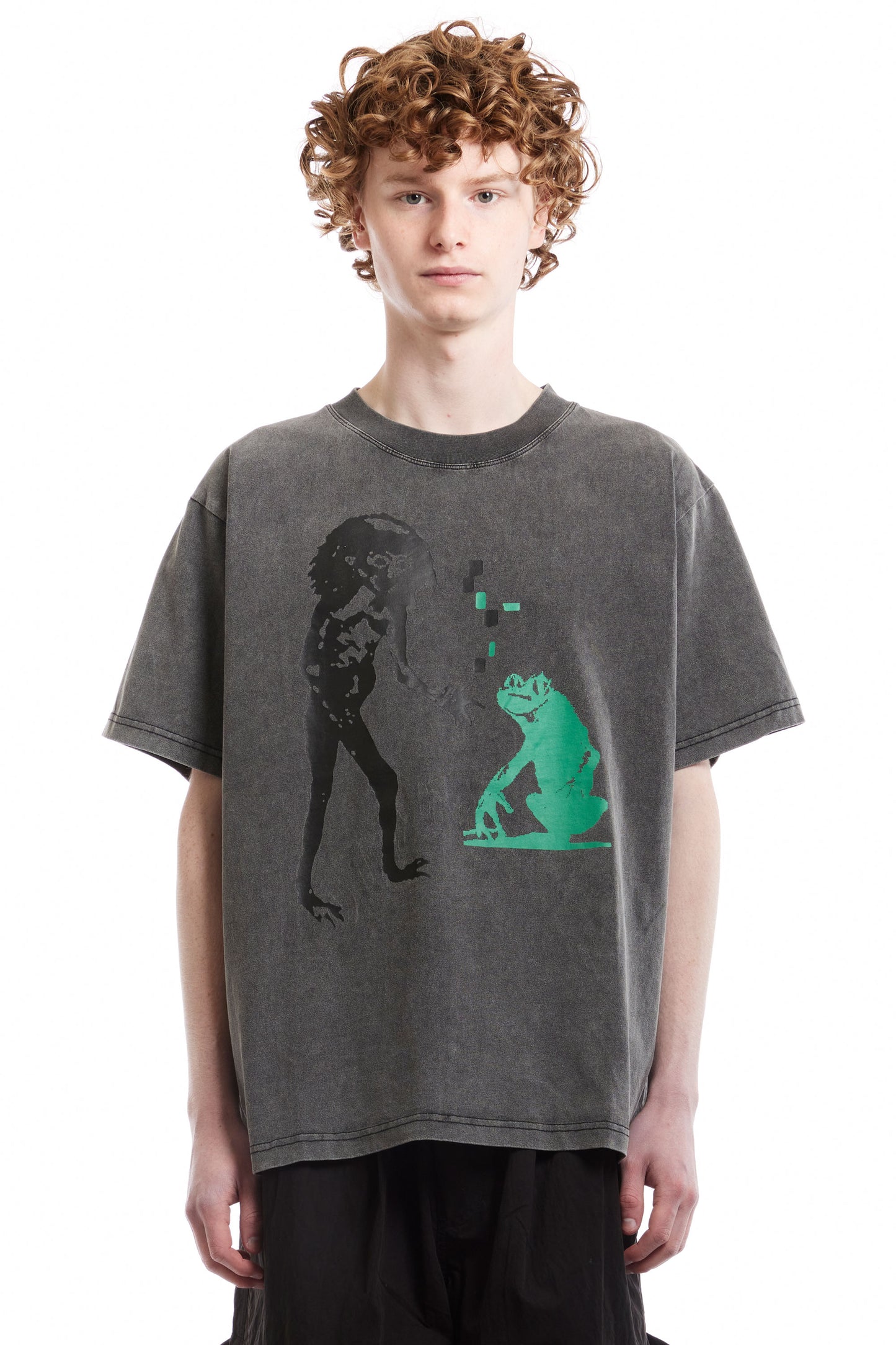 Frog Life SS Tee - Acid Grey